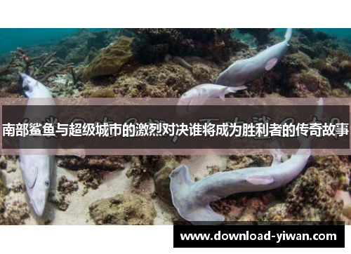 南部鲨鱼与超级城市的激烈对决谁将成为胜利者的传奇故事